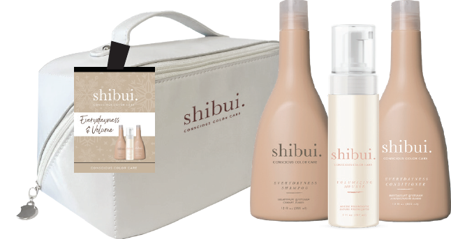 PRSH2411-1 Everydayness Holiday Bag
